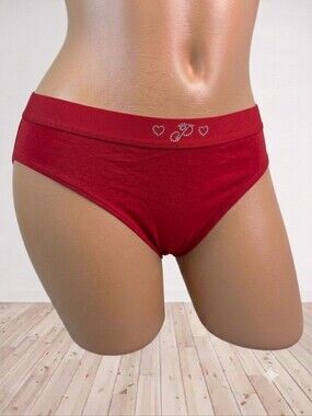 Victoria's Secret PINK Logo Cotton Hiphugger Hipster Panties L NWT